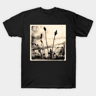 Phare en herbes III T-Shirt